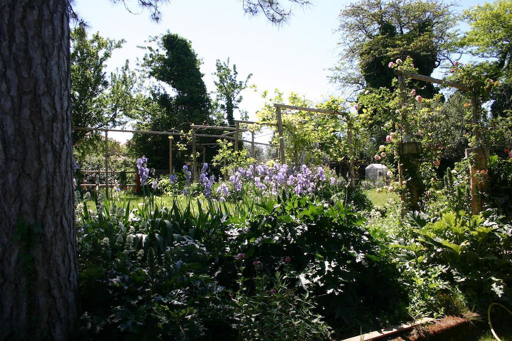 Les Routes Du Monde Bed and Breakfast Saint-Geniès-de-Comolas Εξωτερικό φωτογραφία